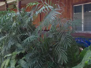 Guest House Posada Ixchel