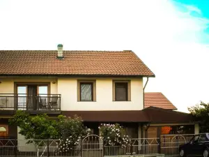 Duplex House