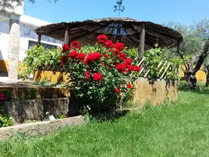 Quinta da Mina