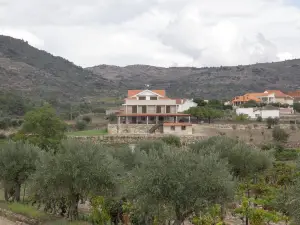 Quinta do Palame