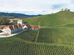 Weingut Taggenbrunn