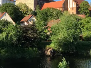 Dompanorama-Kleines Ferienloft