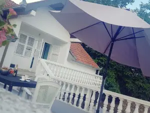 Apartments Vila White House