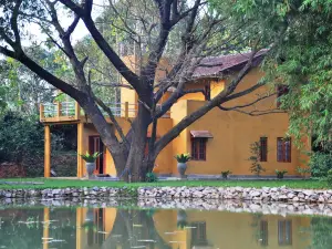 Raintree