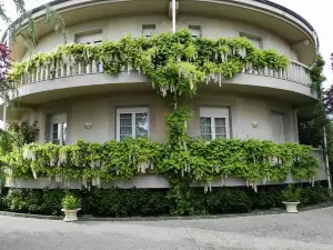 孔戈斯托 4 居宅邸飯店 - 附專屬花園及無線上網