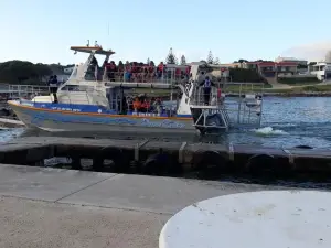 Pik 'n Wyntjie