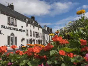 Black Bull