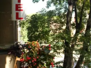 Hostel Sova