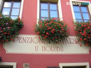 Penzion U Holubu Novy Jicin