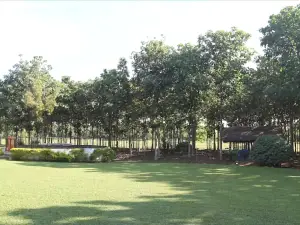 Villa Wild Ceylon