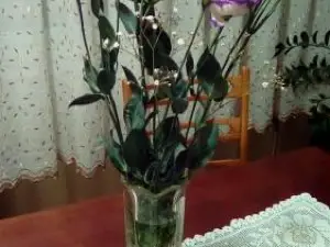 Apartman Nikolic