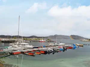 Nærøy