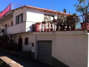 Rosa di Calabria