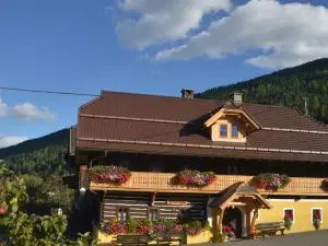 Bad Kleinkirchheim SkiHomes Ottingerhof Ski in -Ski Out Apartments