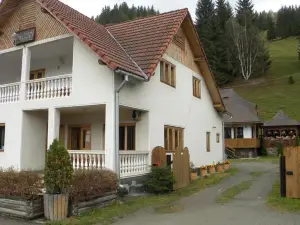 Pensiunea Irina