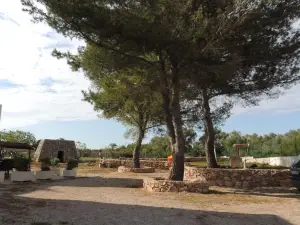 Aura Solis B&B