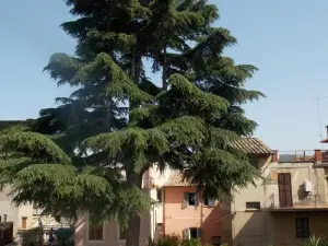 Tivoli Charming Houses - Domus Aefula and Domus Albula
