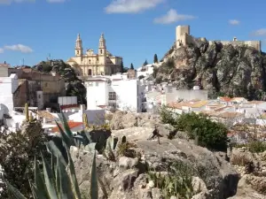 No 31 Bed & Breakfast