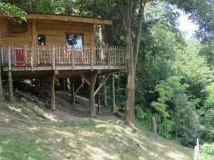 La Cabane Aux Sapins