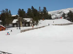 Lemonsjø Fjellstue og Hyttegrend