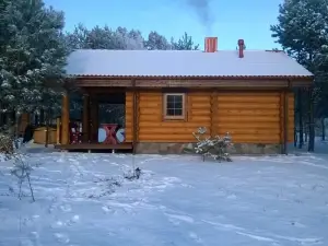 Asvejos Slenis