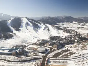 Holiday Inn & Suites Alpensia Pyeongchang