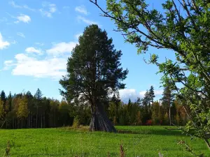 Viking Trails Outdoor & Accommodations