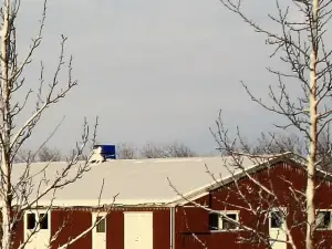 Kaldbakur Guesthouse