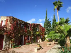 Finca Hotel Consinet