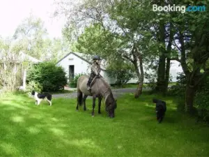 Árbakki Farmhouse Lodge