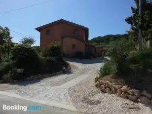Brindepaille