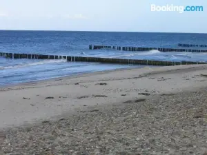 Strandgut