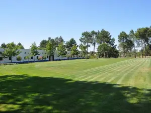 The Camp