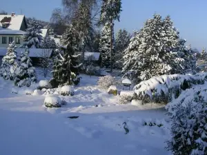 Landhotel der Buchenhof Bad Essen