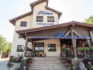 Pensiunea Noblesse