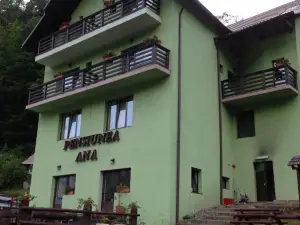 Pensiunea Ana