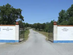 Hotel Rural da Ameira