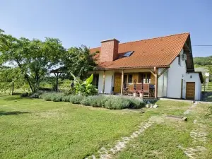 BorászPorta