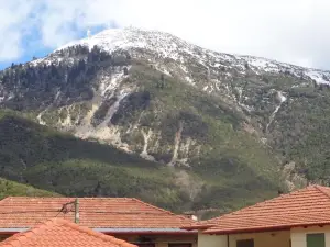 Alonaki Guesthouse