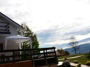 Pensiunea Casa Runcu Buzau