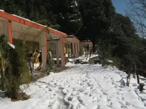 Janardan Resort Pangot