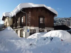 Pension Borůvka