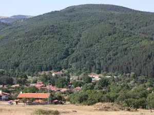 The House on The Hill