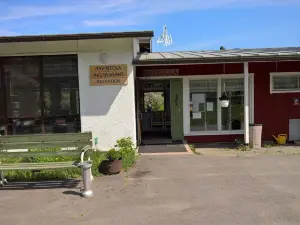 Koivukankare