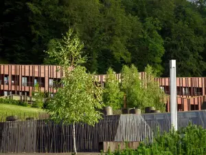 Terme Olimia - Hotel Sotelia