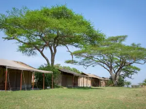 키수라 세렝게티 텐티드 캠프