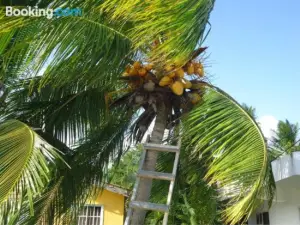 Posada Sunshine Paradise