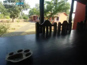 Tala Camp Bandhavgarh