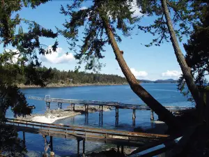 Arbutus Point Oceanfront B & B