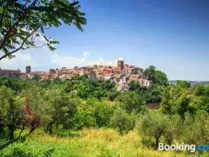 Colibri B&B